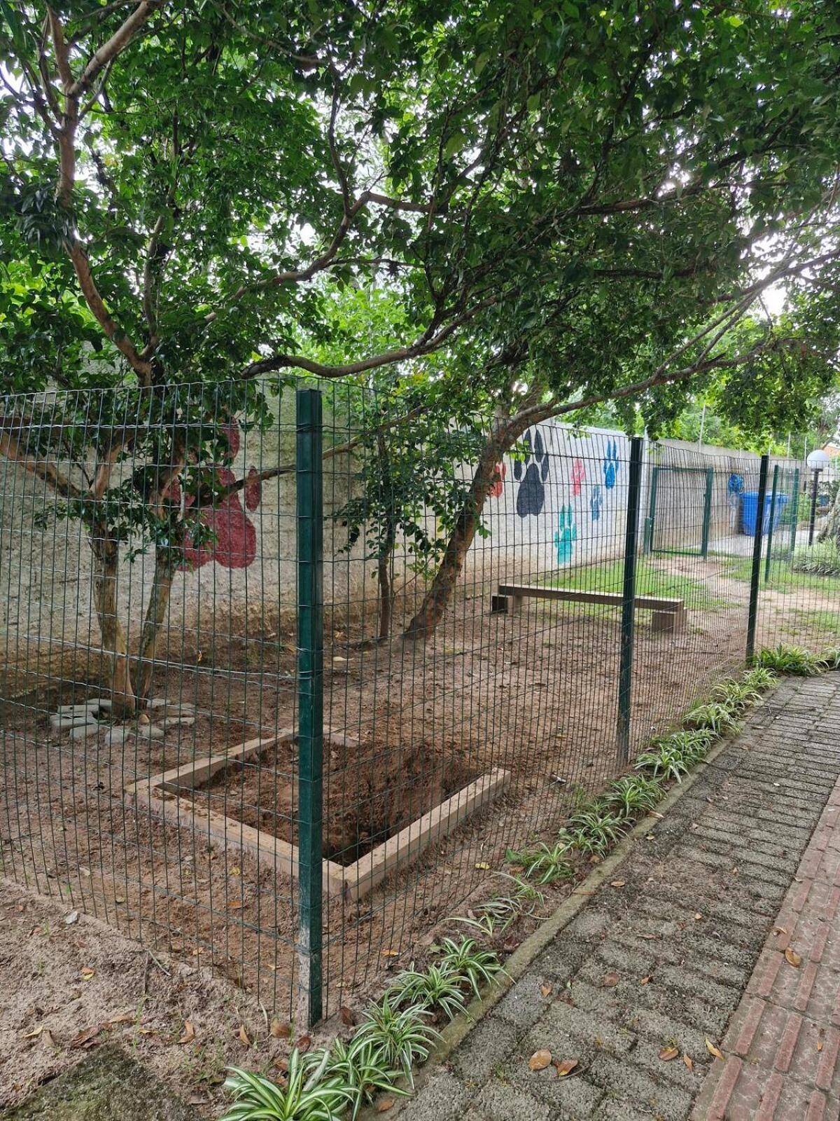 Inteiro Apartamento Florianopolis